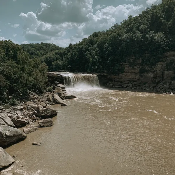 a river with a waterfall and trees