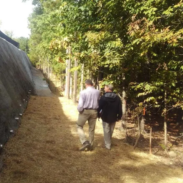 a group of men walking on a path between trees