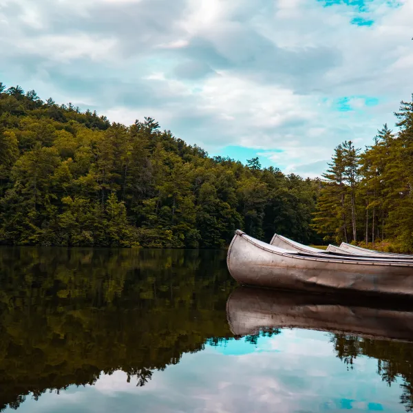 Find A Store Martinizing Cleaners