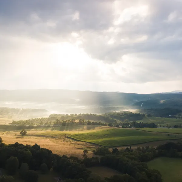 Find A Store Martinizing Cleaners