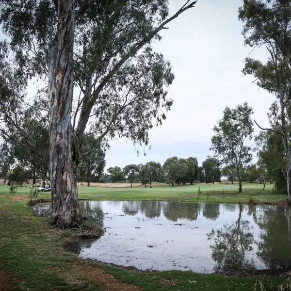 Find A Store Martinizing Cleaners
