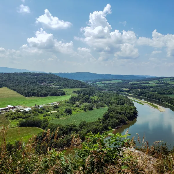 Find A Store Martinizing Cleaners