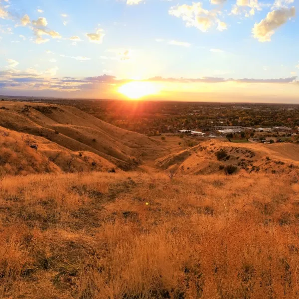 Find A Store Martinizing Cleaners