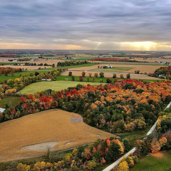 Store Locator Local Dry Cleaning Services Lapels Dry Cleaning