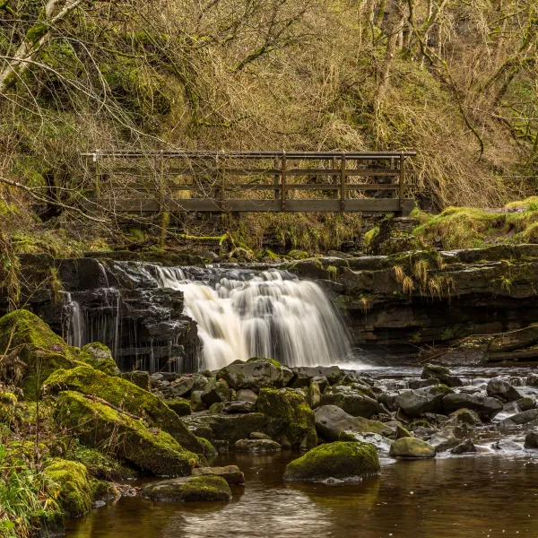 Find A Store Martinizing Cleaners