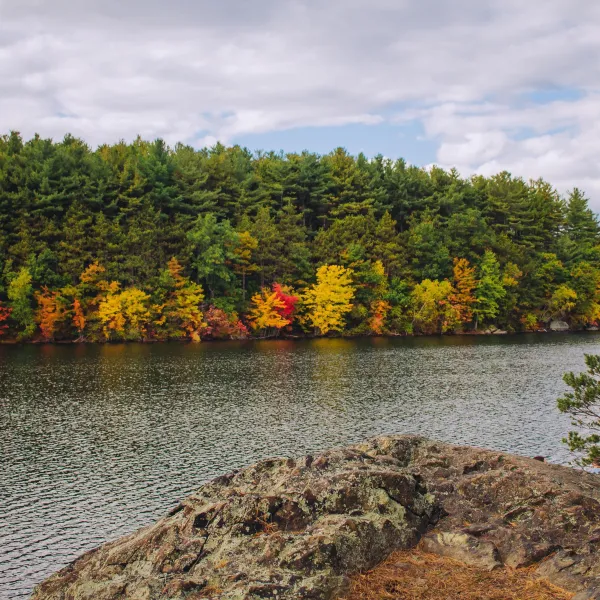 Find A Store Martinizing Cleaners