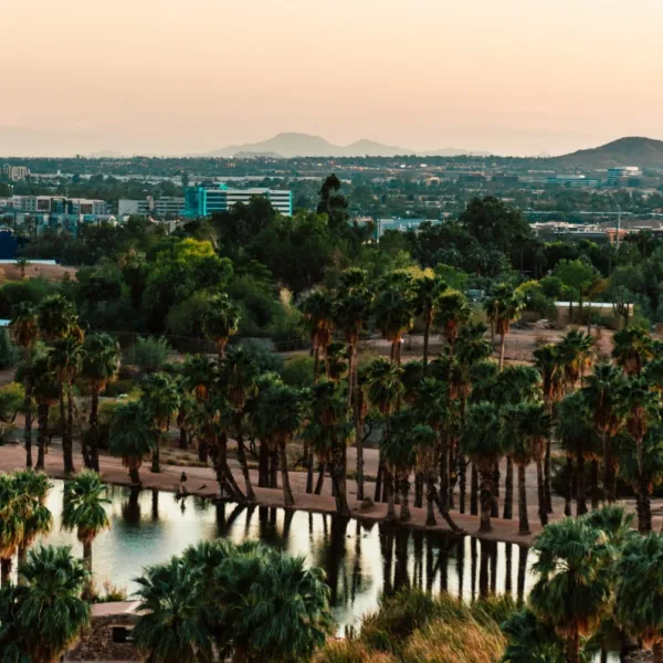 Store Locator Local Dry Cleaning Services Lapels Dry Cleaning