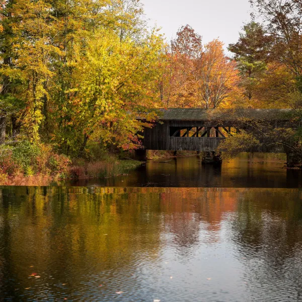 Store Locator Local Dry Cleaning Services Lapels Dry Cleaning