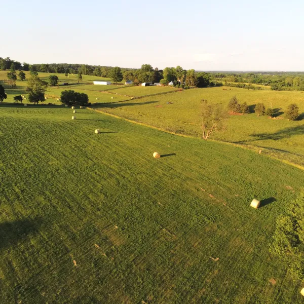 Find A Store Martinizing Cleaners