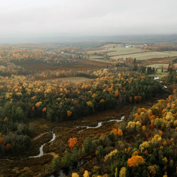 Find A Store Martinizing Cleaners