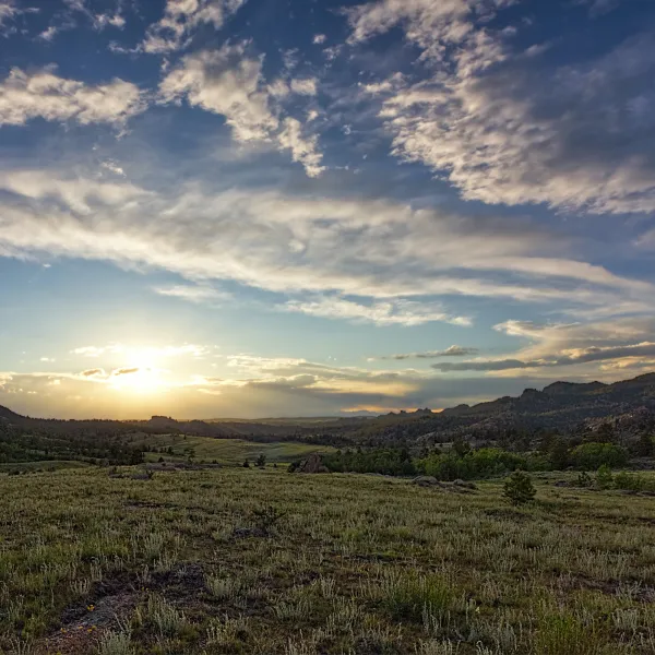 Find A Store Martinizing Cleaners