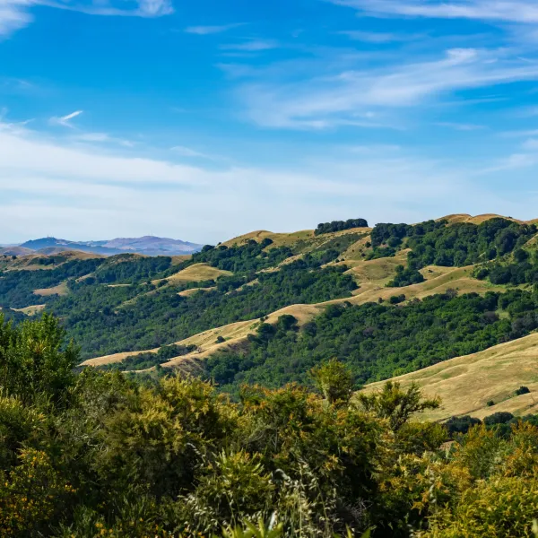 Find A Store Martinizing Cleaners