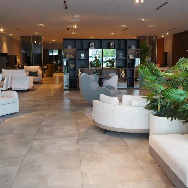 Modern lounge area with white and gray sofas, armchairs, a large plant, and a decorative shelving unit.