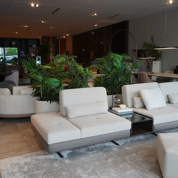 Modern living room with beige sectional sofa, indoor plants, round armchairs, and dark wood shelving in background