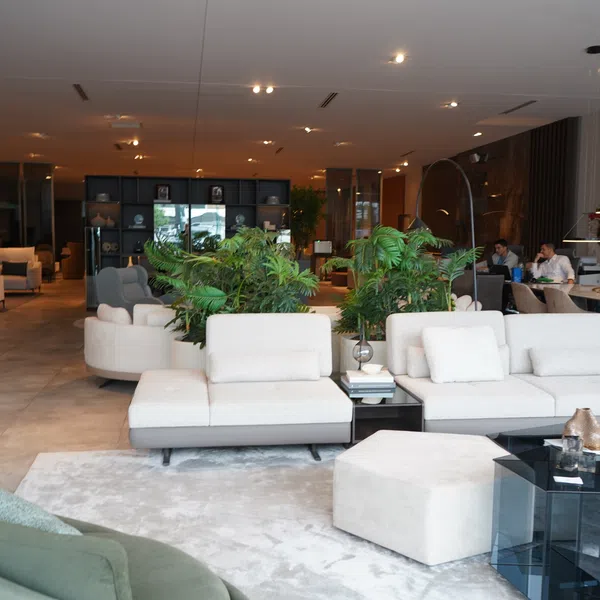 Spacious modern living room with white sofas, green plants, gray rug, and contemporary furniture under warm lighting.