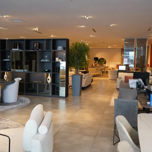 Modern furniture showroom with sofas, chairs, shelves, and indoor plants in a spacious, well-lit area.