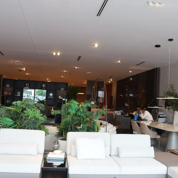 Modern office lounge with white sofas, green plants, and workstations in a bright, spacious room.