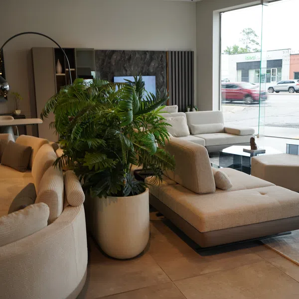 Modern living room with beige sectional sofas, large green plant, glass wall, and minimalistic decor.