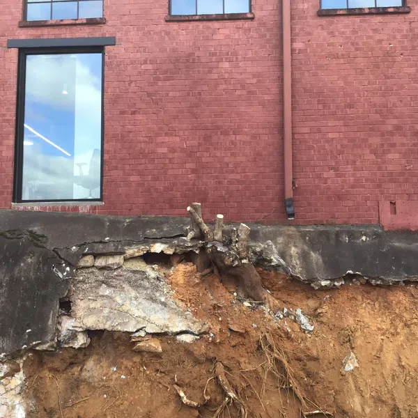 Exposed soil and roots under a cracked concrete ledge against a red brick building with a large window.