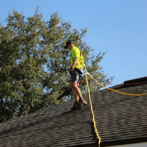 Worker in safety gear on roof using blower to clear debris under clear blue sky with tree in background