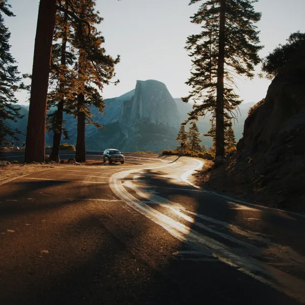 a car driving down a road with trees on either side of it
