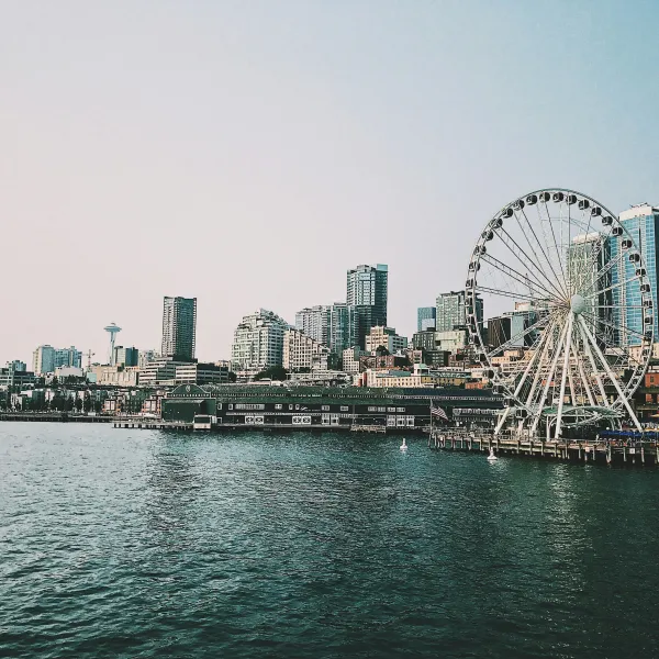a body of water with a ferris wheel in the background