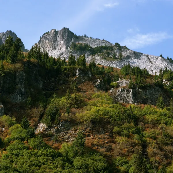 a rocky mountain with trees