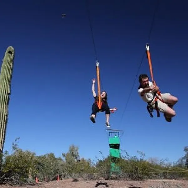 Two people ziplining with harnesses over a desert landscape with clear blue sky and cactus nearby