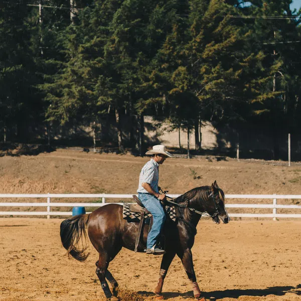 Man in a cowboy hat riding a dark brown horse in a sandy arena with trees in the background