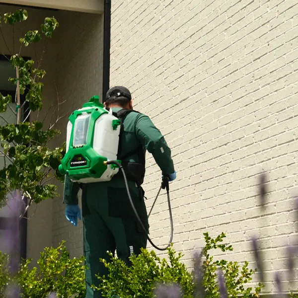 Worker in green uniform using green and white backpack sprayer on plants by a brick wall outdoors