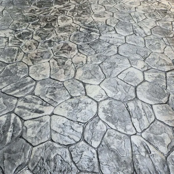 a cracked dry ground