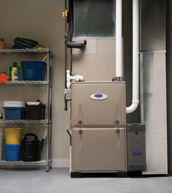 Utility room with a Carrier furnace unit beside metal shelving holding cleaning and gardening supplies