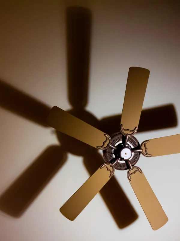 a ceiling fan with a fan