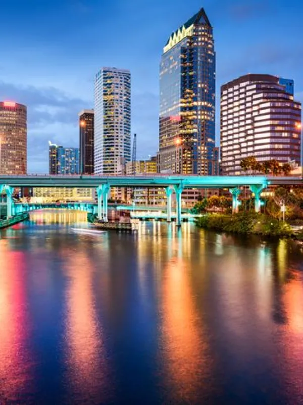The Download on Tampa Digital Marketing Trends