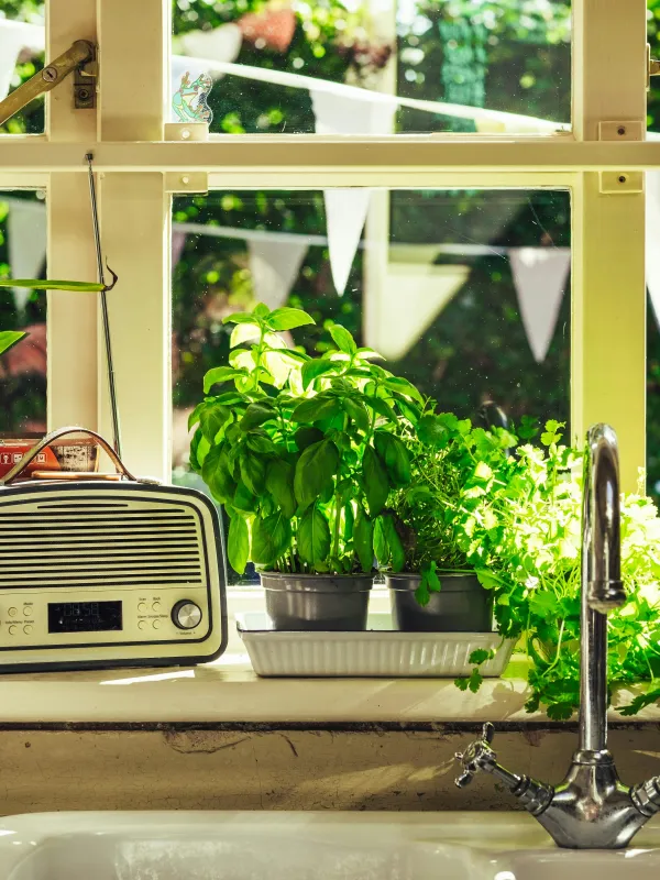 a kitchen counter with a toaster oven and plants