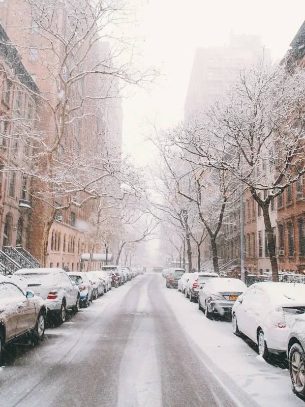 Snow-covered cars and bare trees line a city street with brownstone buildings in winter daylight.