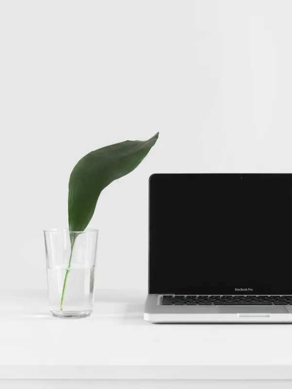 a laptop and a plant in a glass vase