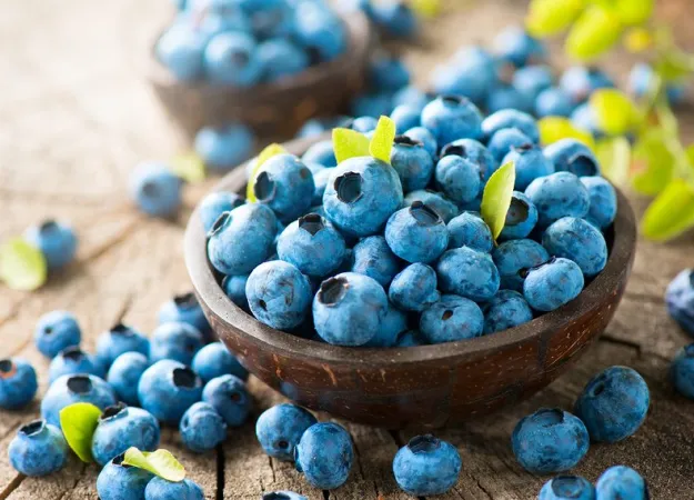 Superfoods guide: 5 foods to try