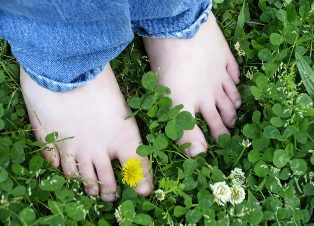 Watch out for common summer safety hazards