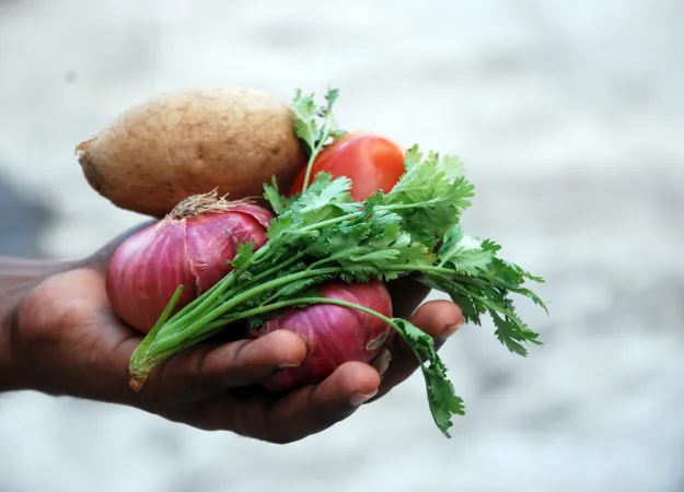 Delicious fall vegetables perfect for eating in season