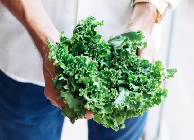 The many health benefits of kale
