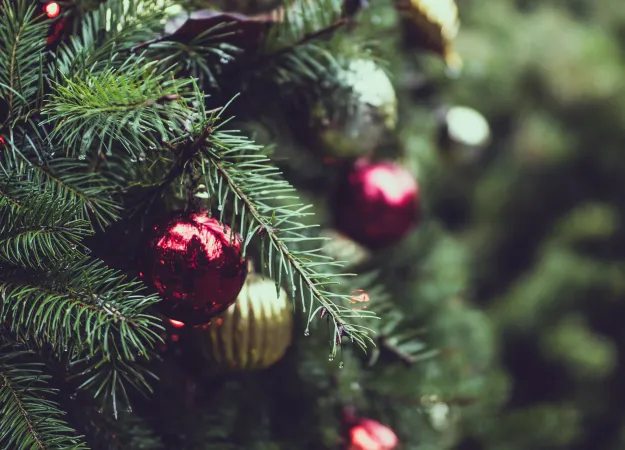 Holidays and allergies: Know how to avoid flare-ups