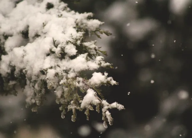 Tips for relieving holiday stress