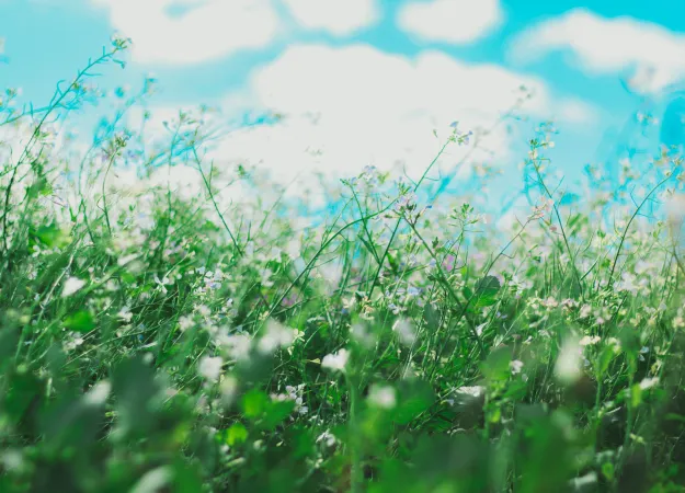 5 tips to help your child survive seasonal allergies in 2021