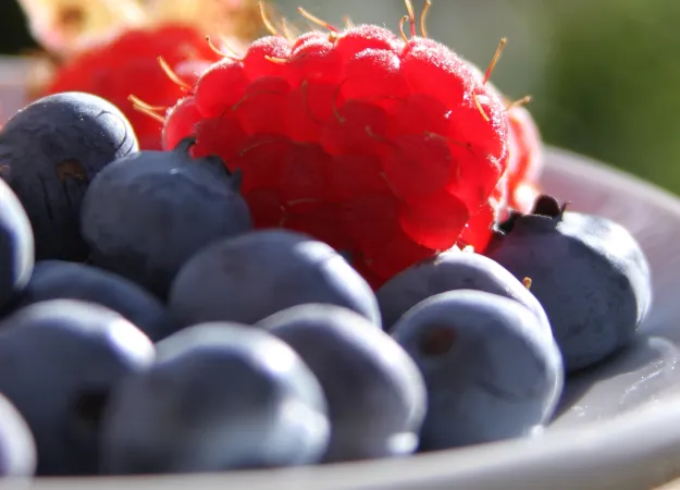 4 healthy summer recipes