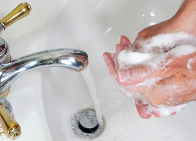 Flu avoidance tips can also keep other bugs away