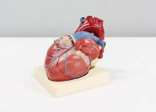 AFib Treatment: From medication to surgery