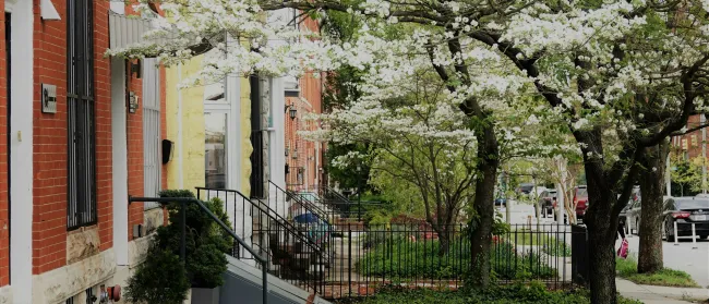 a tree in front of a building