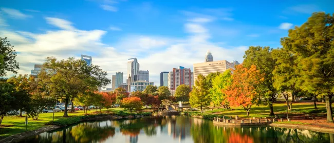 a body of water with trees and buildings in the background