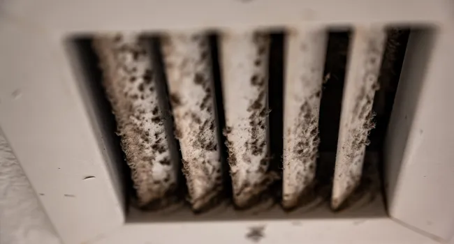 Close-up of a dirty, dust-covered air vent grille with visible grime on the slats.